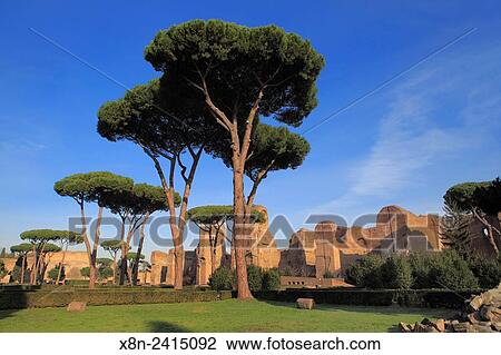 Baths of Caracalla (217), Rome, Italy. View Large Photo Image Stock Image - Baths of Caracalla (217), Rome, Italy.. Fotosearch
