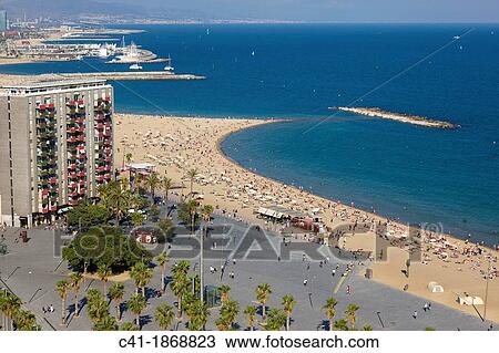 Beach of La Barceloneta, Barcelona, Spain View Large Photo Image Stock Image - Beach of La Barceloneta, Barcelona, Spain. Fotosearch