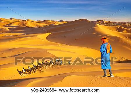 Berber man looking at tourists ride on camels, Erg Chebbi desert near Merzouga, Sahara, Morocco. View Large Photo Image Picture - Berber man looking at tourists ride on camels, Erg Chebbi desert near Merzouga, Sahara, Morocco.. Fotosearch