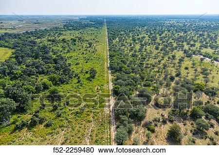 Botswana, Okavango Delta, Scenic landscape View Large Photo Image Stock Image - Botswana, Okavango Delta, Scenic landscape. Fotosearch