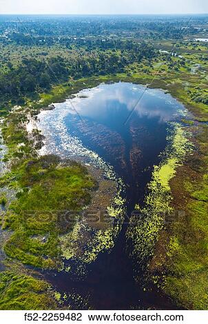 Stock Image - Botswana, Okavango Delta, Scenic landscape. Fotosearch