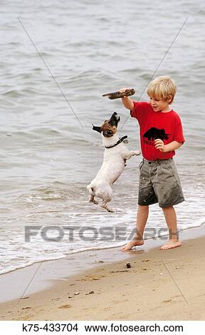 Boy and his dog at the beach View Large Photo Image Picture - Boy and his dog at the beach. Fotosearch