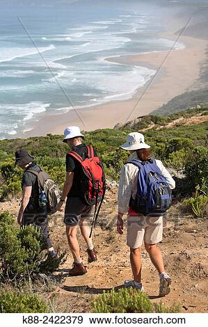 Bushwalkers along the Great Ocean Walk. Aire River Beach, Victoria, Australia. View Large Photo Image Stock Photo - Bushwalkers along the Great Ocean Walk. Aire River Beach, Victoria, Australia.. Fotosearch