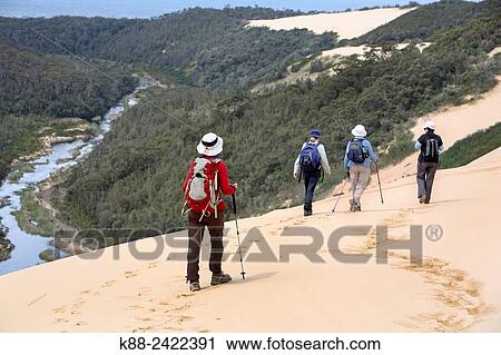 Stock Image - Bushwalking on Thurra Dunes, the second highest sand dune in the southern hemisphere. Croajingolong National Park, Victoria, Australia.. Fotosearch