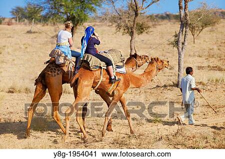 Stock Image - Camel caravan safari ride with tourists in Thar Desert near Jaisalmer, India.. Fotosearch