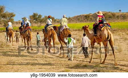 Camel caravan safari ride with tourists in Thar Desert near Jaisalmer, India. View Large Photo Image Stock Photo - Camel caravan safari ride with tourists in Thar Desert near Jaisalmer, India.. Fotosearch