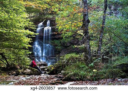 Cascada del r? o Hormigas, junto al Pozo de la Arbencia. Parque Natural Saja-Besaya. Valle de Cabu? rniga - Bßrcena Mayor - Cantabria. Espa±a View Large Photo Image Stock Photo - Cascada del r? o Hormigas, junto al Pozo de la Arbencia. Parque Natural Saja-Besaya. Valle de Cabu? rniga - Bßrcena Mayor - Cantabria. Espa±a. Fotosearch