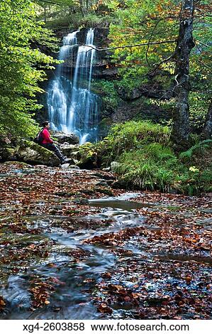 Stock Photo - Cascada del r? o Hormigas, junto al Pozo de la Arbencia. Parque Natural Saja-Besaya. Valle de Cabu? rniga - Bßrcena Mayor - Cantabria. Espa±a. Fotosearch