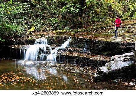 Cascada del r? o Hormigas, junto al Pozo de la Arbencia. Parque Natural Saja-Besaya. Valle de Cabu? rniga - Bßrcena Mayor - Cantabria. Espa±a View Large Photo Image Stock Photo - Cascada del r? o Hormigas, junto al Pozo de la Arbencia. Parque Natural Saja-Besaya. Valle de Cabu? rniga - Bßrcena Mayor - Cantabria. Espa±a. Fotosearch