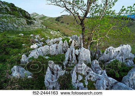 Stock Image - Cerredo mountain, Castro Urdiales, Cantabria, Spain, Europe.. Fotosearch
