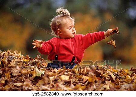 child playing in leaves holding leaf. View Large Photo Image Stock Image - child playing in leaves holding leaf.. Fotosearch