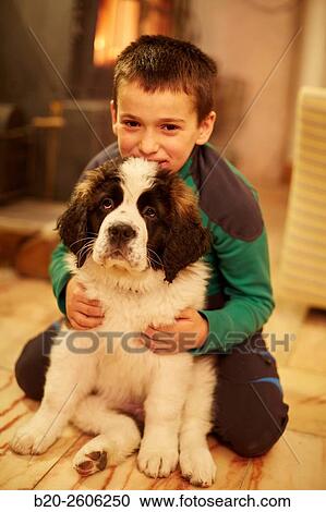 Stock Image - Child with Saint Bernard dog. Gipuzkoa. Basque Country. Spain. Fotosearch