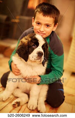 Stock Photo - Child with Saint Bernard dog. Gipuzkoa. Basque Country. Spain. Fotosearch