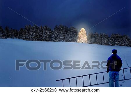 Christmas tree View Large Photo Image Stock Image - Christmas tree. Fotosearch