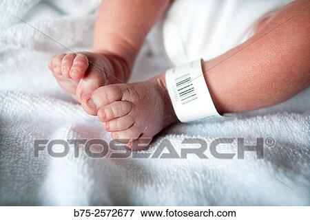 Stock Photo - Close-up of the feet of a newborn baby with a wristband with barcode.. Fotosearch