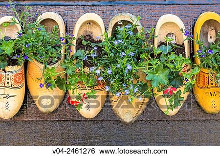 Close up of traditional clogs, The Netherlands, Europe View Large Photo Image Stock Photograph - Close up of traditional clogs, The Netherlands, Europe. Fotosearch