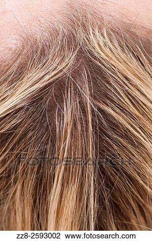 Stock Image - Close up of woman's hair.. Fotosearch