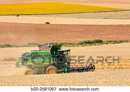 Combine cereal. Agricultural machinery Combine harvester on field of wheat? Learza? estate Near Estella, Navarre, Spain View Large Photo Image Stock Photo - Combine cereal. Agricultural machinery Combine harvester on field of wheat? Learza? estate Near Estella, Navarre, Spain. Fotosearch