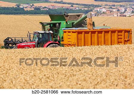 Combine cereal. Agricultural machinery Combine harvester on field of wheat? Learza? estate Near Estella, Navarre, Spain View Large Photo Image Stock Photograph - Combine cereal. Agricultural machinery Combine harvester on field of wheat? Learza? estate Near Estella, Navarre, Spain. Fotosearch