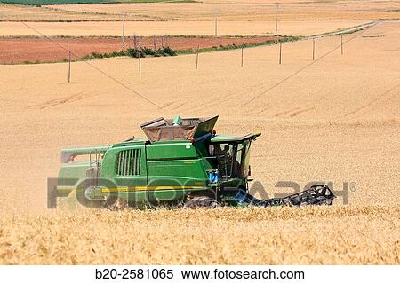 Combine cereal. Agricultural machinery Combine harvester on field of wheat? Learza? estate Near Estella, Navarre, Spain View Large Photo Image Stock Photography - Combine cereal. Agricultural machinery Combine harvester on field of wheat? Learza? estate Near Estella, Navarre, Spain. Fotosearch