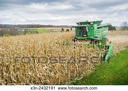 Combine harvesting corn in Jarrettsville, Maryland. View Large Photo Image Stock Image - Combine harvesting corn in Jarrettsville, Maryland.. Fotosearch