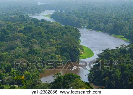 Costa Rica. National park of Tortuguero, water canal and rainforest viewed from Cerro Tortuguero hill View Large Photo Image Stock Photograph - Costa Rica. National park of Tortuguero, water canal and rainforest viewed from Cerro Tortuguero hill. Fotosearch
