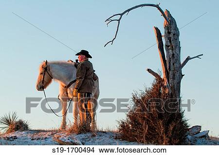 Cowboy and horse View Large Photo Image Picture - Cowboy and horse. Fotosearch