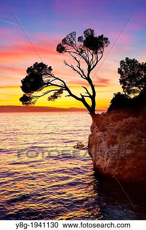 Croatia - Makarska Riviera Coast, Brela Stone on the beach, landscape at sunset time, Dalmatia, Croatia. View Large Photo Image Stock Image - Croatia - Makarska Riviera Coast, Brela Stone on the beach, landscape at sunset time, Dalmatia, Croatia.. Fotosearch