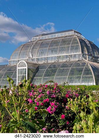 Europe, UK, England, London, Kew Gardens Temperate House summer. View Large Photo Image Stock Image - Europe, UK, England, London, Kew Gardens Temperate House summer.. Fotosearch
