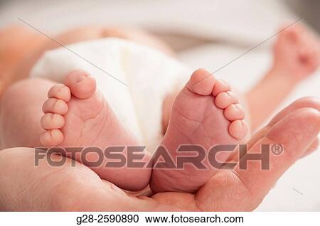 Father's hand holding the 2 little feet of baby boy, 2 weeks old, View Large Photo Image Stock Image - Father's hand holding the 2 little feet of baby boy, 2 weeks old,. Fotosearch