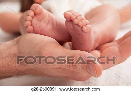 Father's hand holding the 2 little feet of baby boy, 2 weeks old, View Large Photo Image Stock Image - Father's hand holding the 2 little feet of baby boy, 2 weeks old,. Fotosearch