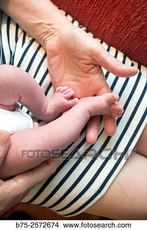 Picture - Feet and legs of a newborn in the hand of her grandmother. Fotosearch