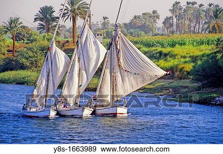 Stock Photo - Feluccas sailing up the river Nile. Fotosearch