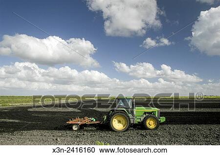 Florida, USA - Tillage in EAA soil known as Black Gold. View Large Photo Image Stock Image - Florida, USA - Tillage in EAA soil known as Black Gold.. Fotosearch