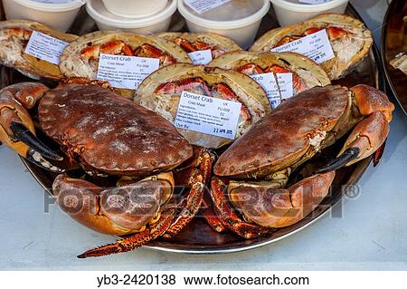 Fresh Crab For Sale At The Saturday Farmers Market In Heron Square, Richmond Upon Thames, London, England. View Large Photo Image Stock Photo - Fresh Crab For Sale At The Saturday Farmers Market In Heron Square, Richmond Upon Thames, London, England.. Fotosearch