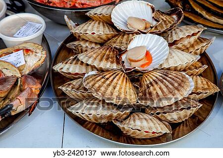 Fresh Scallops For Sale At The Saturday Farmers Market In Heron Square, Richmond Upon Thames, London, England. View Large Photo Image Stock Photo - Fresh Scallops For Sale At The Saturday Farmers Market In Heron Square, Richmond Upon Thames, London, England.. Fotosearch