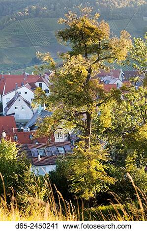 Germany, Baden-Wurttemburg, Stuttgart-Uhlbach, elevated village view in the fall. View Large Photo Image Stock Image - Germany, Baden-Wurttemburg, Stuttgart-Uhlbach, elevated village view in the fall.. Fotosearch