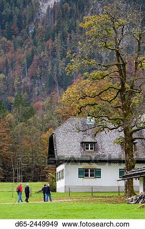 Germany, Bavaria, Konigsee, St. Bartholoma, fall foliage. View Large Photo Image Stock Photo - Germany, Bavaria, Konigsee, St. Bartholoma, fall foliage.. Fotosearch
