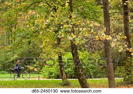 Germany Bavaria Munich Englischer Garten Park Visitors Fall