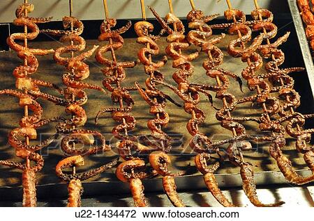 Guangzhou (China): octopus tentacles on skewers sold in the Changshoulu neighborhood View Large Photo Image Stock Image - Guangzhou (China): octopus tentacles on skewers sold in the Changshoulu neighborhood. Fotosearch