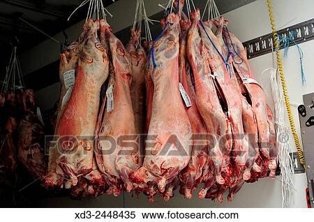 hanging pork, Saint Quentin Covered Market, 10th Arrondissement, Paris, France. View Large Photo Image Stock Photography - hanging pork, Saint Quentin Covered Market, 10th Arrondissement, Paris, France.. Fotosearch