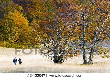 Happy young couple running through high grass View Large Photo Image Stock Image - Happy young couple running through high grass. Fotosearch