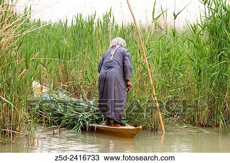 Image marshes of Iraq in Dhi Qar province, which is located south of Iraq, Show where water bodies and Cane papyrus and boat Where man standing. View Large Photo Image Stock Image - Image marshes of Iraq in Dhi Qar province, which is located south of Iraq, Show where water bodies and Cane papyrus and boat Where man standing.. Fotosearch