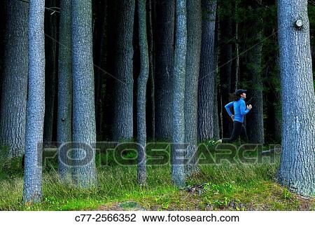 Jogging View Large Photo Image Stock Image - Jogging. Fotosearch