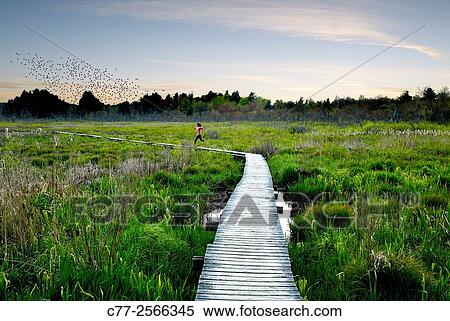 Jogging View Large Photo Image Stock Photography - Jogging. Fotosearch