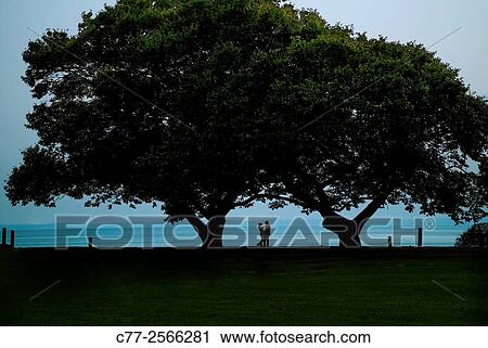 Landscape, trees, couple View Large Photo Image Stock Image - Landscape, trees, couple. Fotosearch