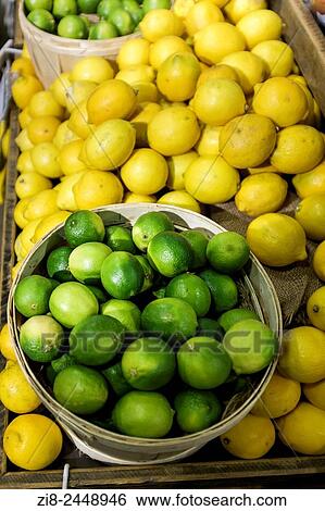 Lemons and limes on market stall, Richmond, Surrey. View Large Photo Image Stock Photograph - Lemons and limes on market stall, Richmond, Surrey.. Fotosearch