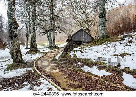 Linza Refuge Nature Park of Valles Occidentales, Huesca Pyrenees, Aragon, Spain. View Large Photo Image Stock Photograph - Linza Refuge Nature Park of Valles Occidentales, Huesca Pyrenees, Aragon, Spain.. Fotosearch