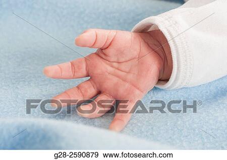 Little hand of baby boy 2 weeks old on blue blanket View Large Photo Image Stock Photo - Little hand of baby boy 2 weeks old on blue blanket. Fotosearch