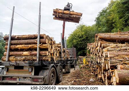 Logging industry, Zeanuri, Gorbeia Natural Park, Alava-Biscay, Basque Country, Spain. View Large Photo Image Stock Photo - Logging industry, Zeanuri, Gorbeia Natural Park, Alava-Biscay, Basque Country, Spain.. Fotosearch